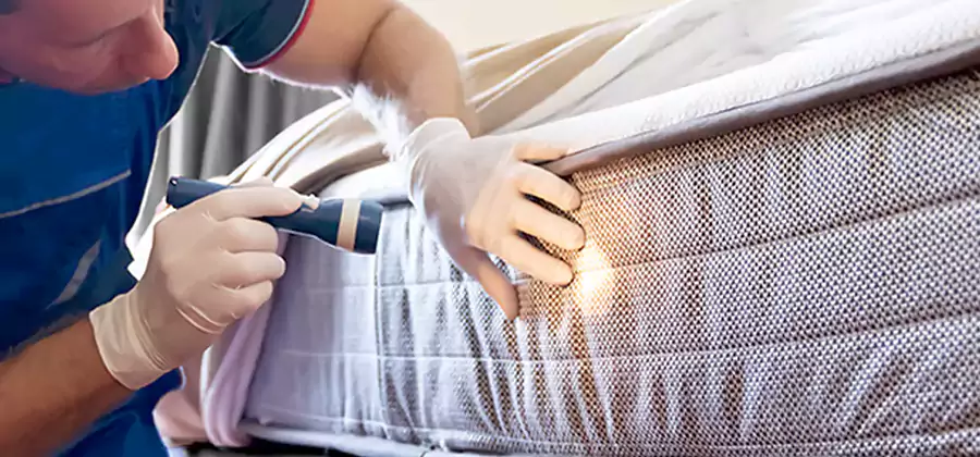 Residential Bed Bug Treatment Cost in Smyrna