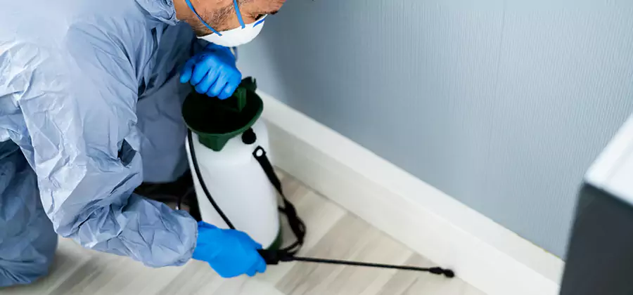 Fumigate Apartment Roaches in Smyrna