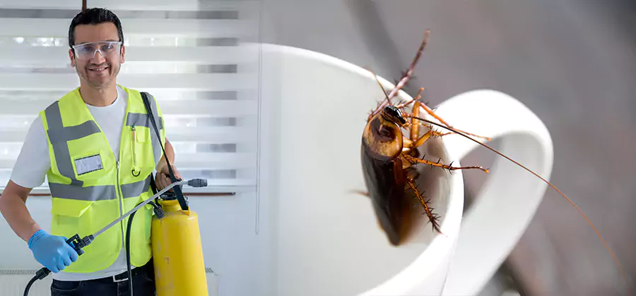 German Roach Infestation Treatment Smyrna
