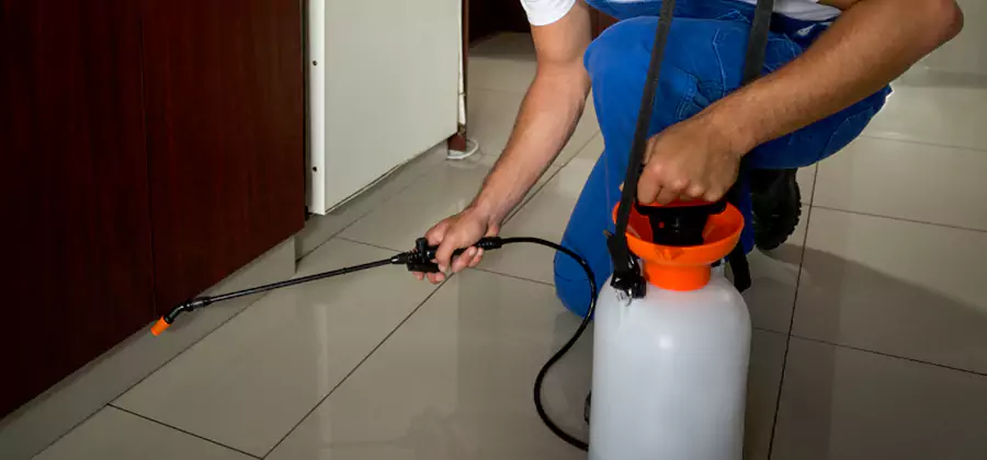 Indoor Mosquito Treatment in Smyrna
