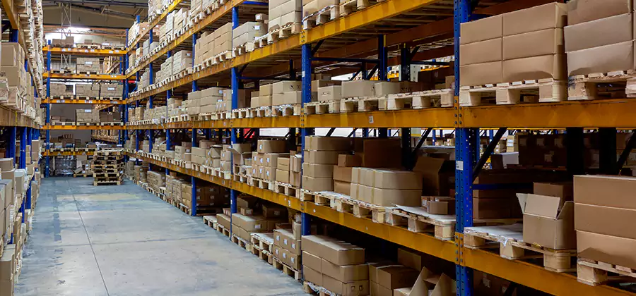 Warehouse Pest Control in Smyrna