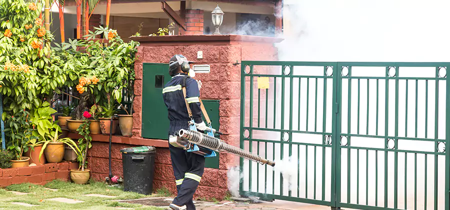 Backyard Mosquito Foggers Service in Smyrna