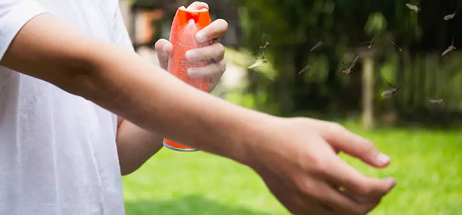 Mosquito and Tick Control Services in Smyrna