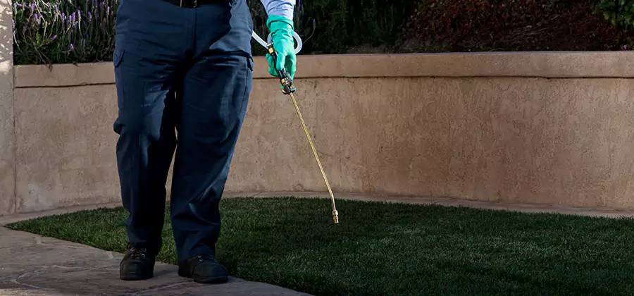 Soil Treatment for New Construction Termites in Smyrna