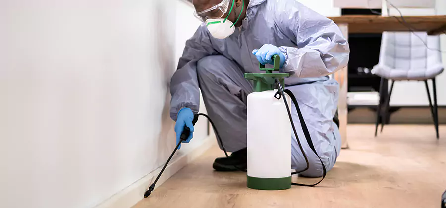 No Tent Termite Extermination With Electric Tool in Smyrna