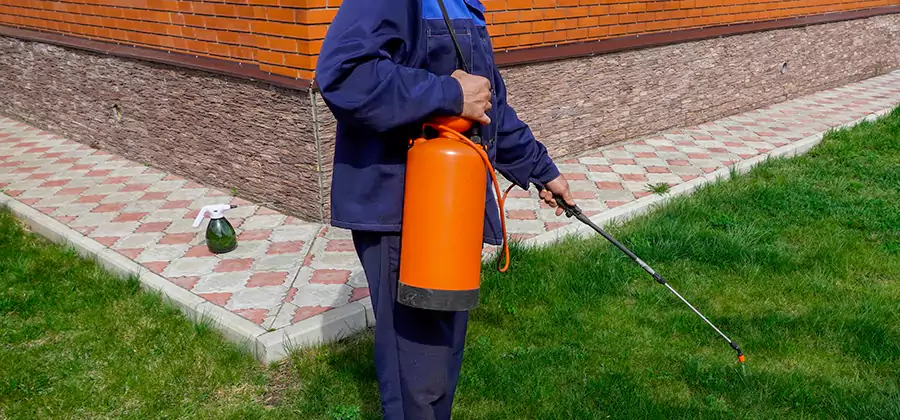 Non Toxic Termite Treatment in Smyrna