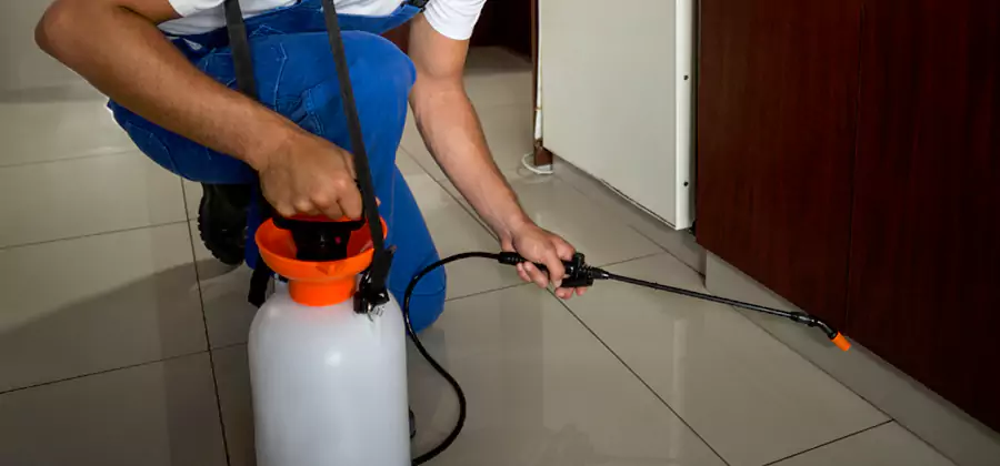 One Time Termite Control in Smyrna
