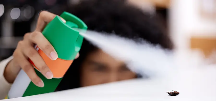Child Safe Bed Bug Treatment in Smyrna