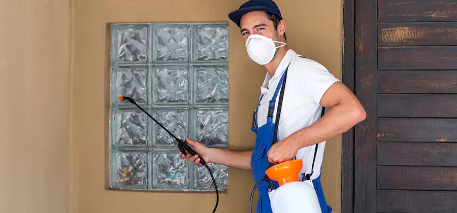 Physical Termite Barrier Installation in Smyrna