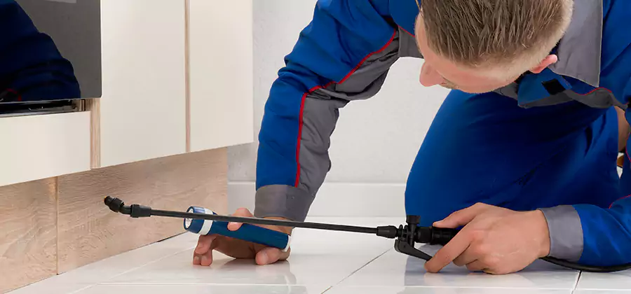 Moisture Treatment For Termite Control Service in Smyrna