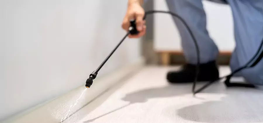 Direct Termite Injection Treatment in Smyrna