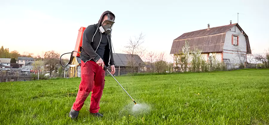 Flea and Tick Pest Control in Smyrna