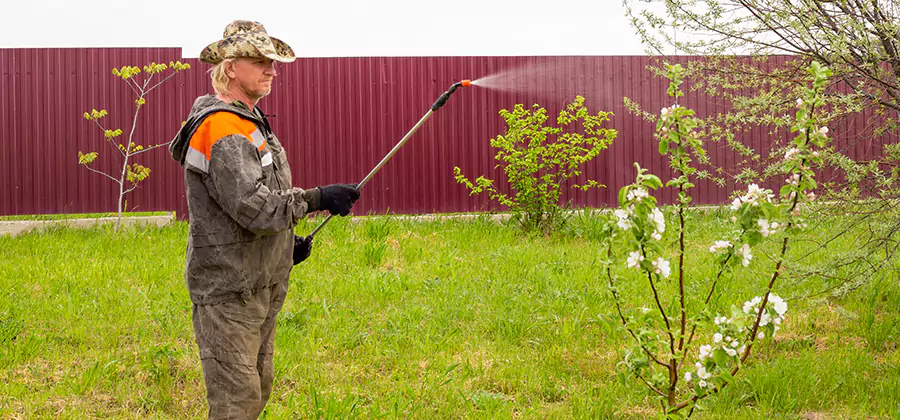 Flea and Tick Spray for Yard in Smyrna