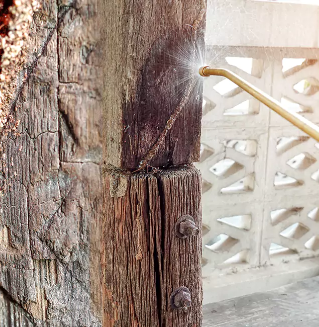 Why Choose Smyrna Pest Control Pro for Attic Termite Treatment in Smyrna, GA?