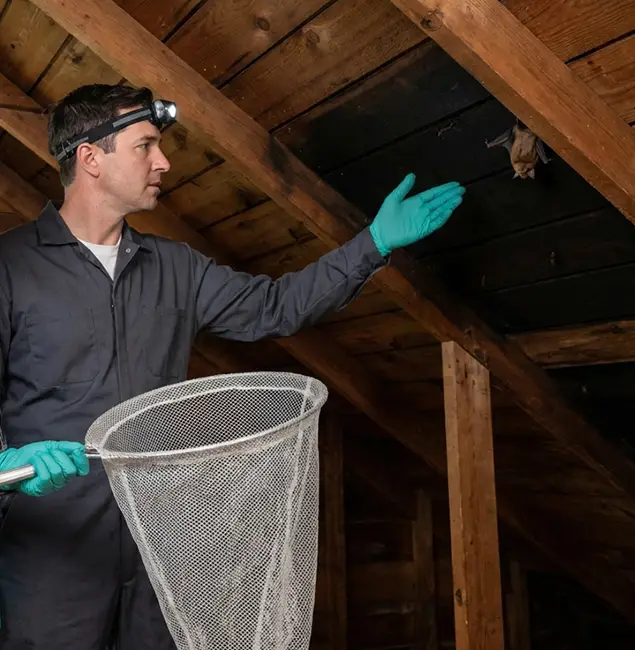 Why Smyrna Pest Control Pro Is the Right Choice in Smyrna, GA?