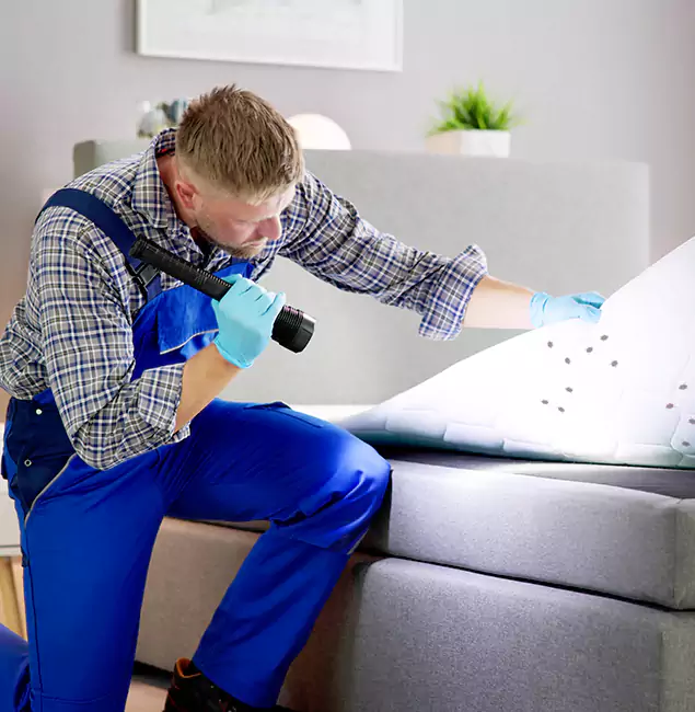 Why Choose Smyrna Pest Control Pro for Bed Bug Exterminator Cost in Smyrna, GA?