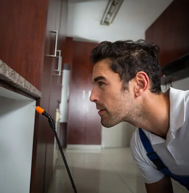 Why Choose Smyrna Pest Control Pro for Bed Bug Removal Cost in Smyrna, GA?