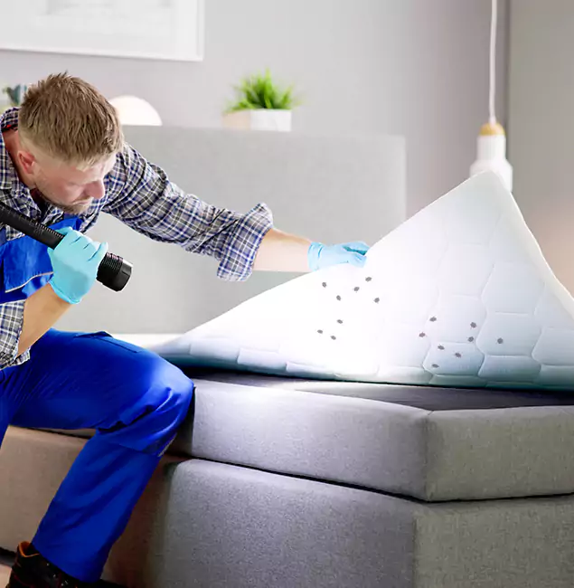 Why Choose Smyrna Pest Control Pro in Smyrna, GA?