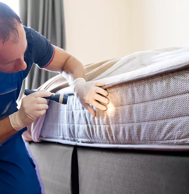Why Choose Smyrna Pest Control Pro for Bed Bug Services in Smyrna, GA?