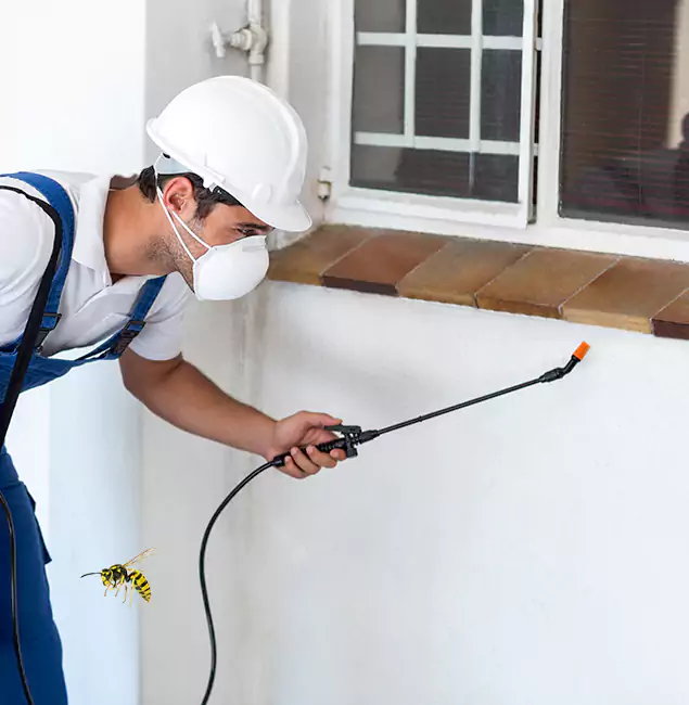 Why Smyrna Property Owners Choose Smyrna Pest Control Pro for Bee Nest Removal?