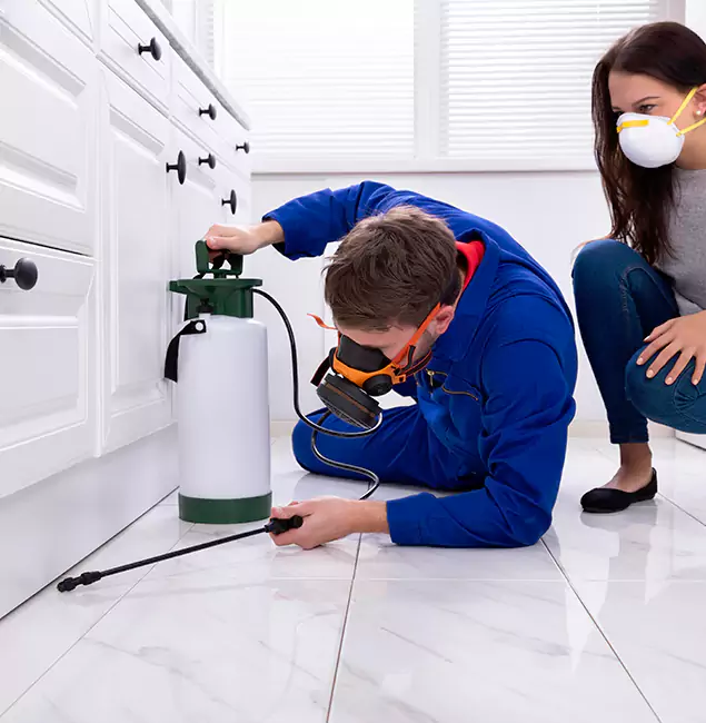Why Choose Smyrna Pest Control Pro in Smyrna, GA?