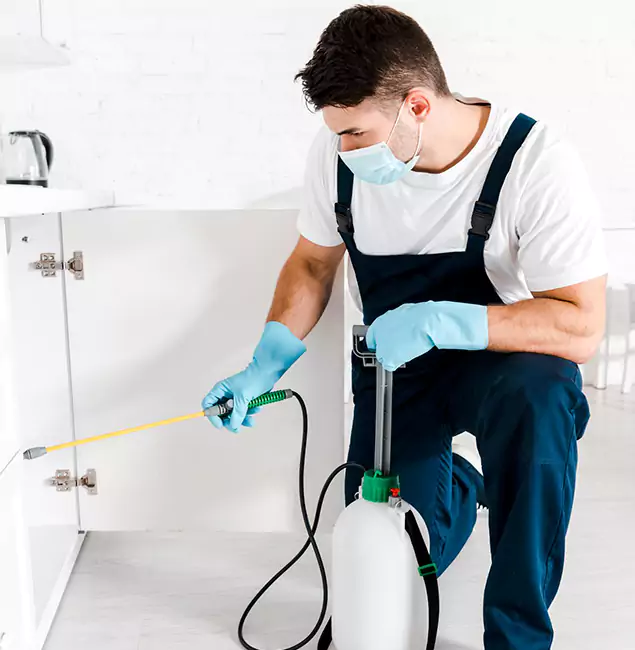 Why Choose Smyrna Pest Control Pro for Emergency Pest Control in Smyrna?
