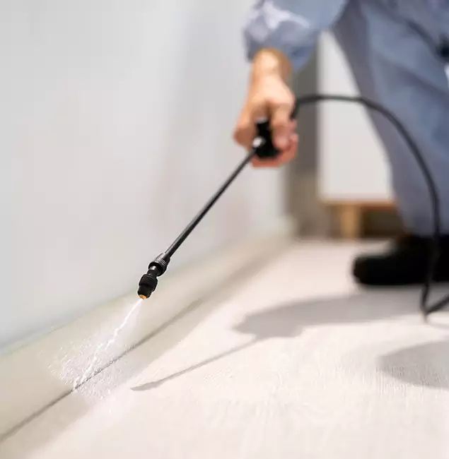 Why Choose Smyrna Pest Control Pro for Termite Treatment in Smyrna, GA?