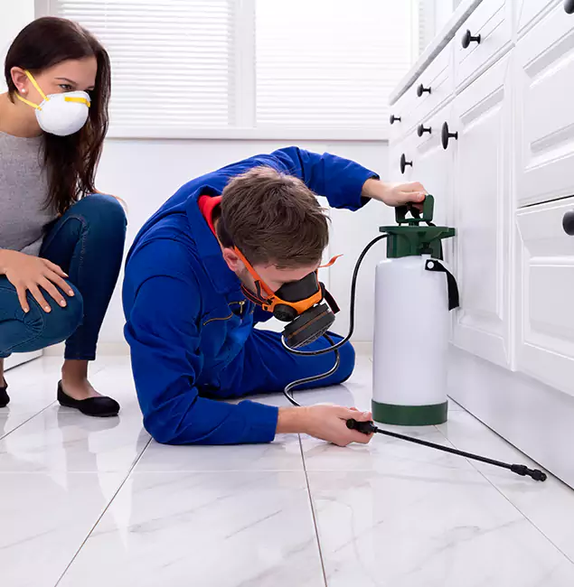 Why Smyrna, GA Homeowners Trust Smyrna Pest Control Pro for Roach Control?