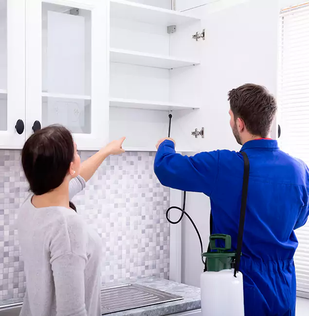 Why Smyrna Property Owners Choose Smyrna Pest Control Pro for Ground Bee Removal?