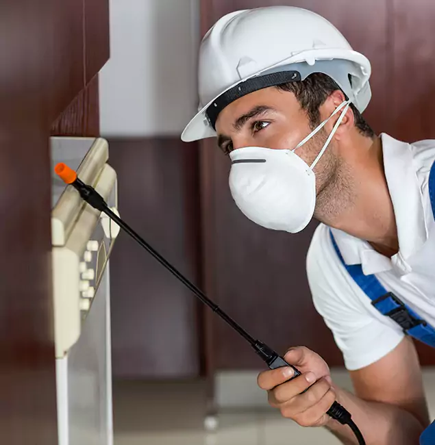 Why Smyrna Homeowners Rely on Smyrna Pest Control Pro for Tick Treatment?