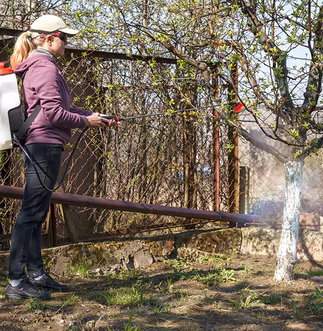 Why Smyrna Homeowners Choose Smyrna Pest Control Pro for Mosquito Abatement?