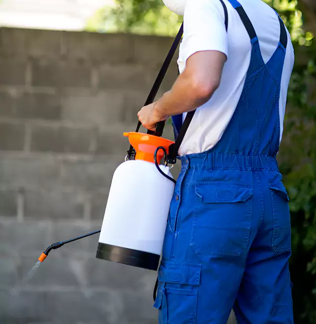 Why Smyrna Homeowners Rely on Smyrna Pest Control Pro for Mosquito Control?