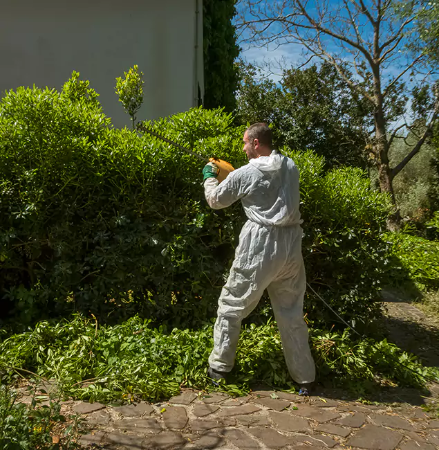 Why Smyrna Pest Control Pro Leads Mosquito Control in Smyrna, GA?