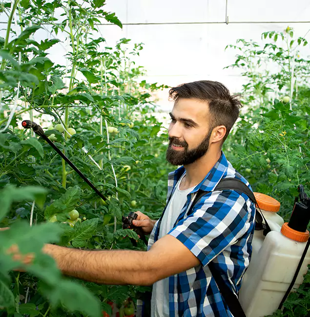 Why Smyrna Homeowners Choose Smyrna Pest Control Pro for Mosquito Spraying?
