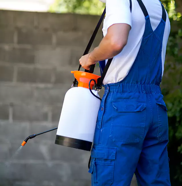 Why Smyrna Pest Control Pro Delivers the Best Mosquito Control in Smyrna, GA?