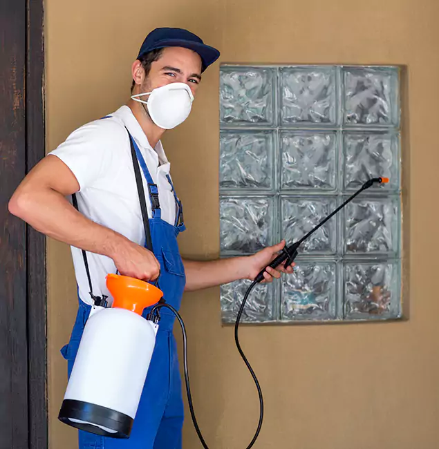 Why Smyrna Pest Control Pro Provides the Best Mosquito Control for Yard Properties in Smyrna, GA?