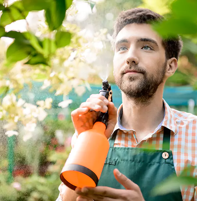 Why Smyrna Homeowners Call Smyrna Pest Control Pro for Mosquitoes in House?