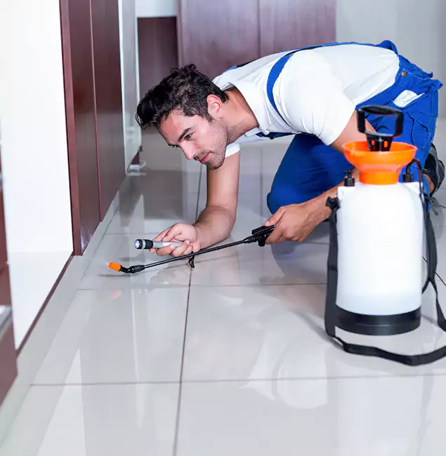 Why Smyrna Pest Control Pro Is the Proven Choice in Smyrna, GA?