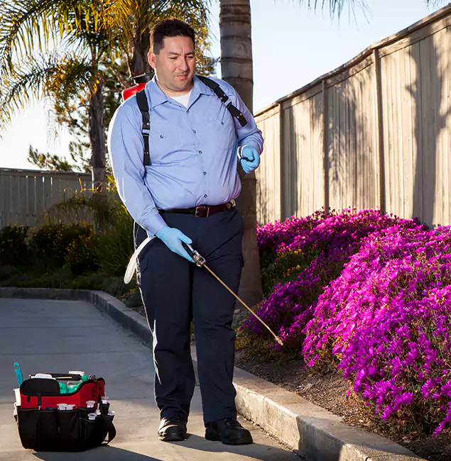 Why Choose Smyrna Pest Control Pro in Smyrna, GA?