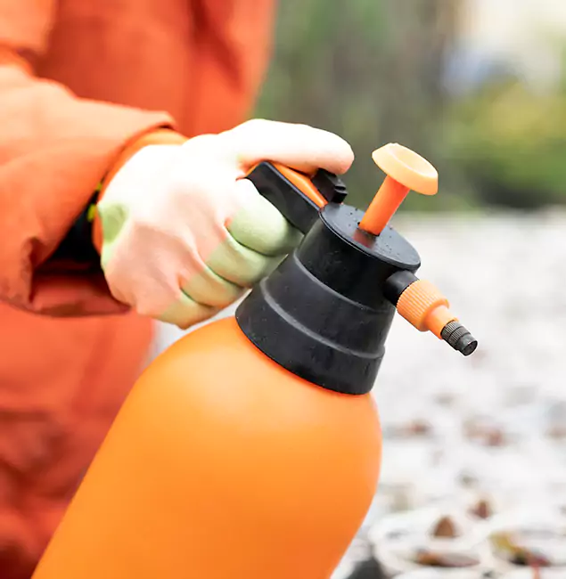 Why Choose Smyrna Pest Control Pro for Orange Termite Treatment in Smyrna, GA?