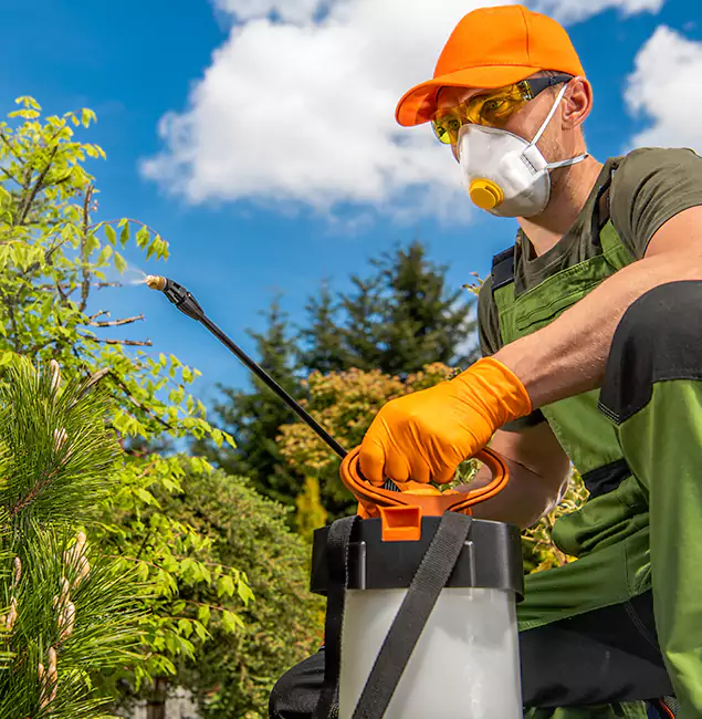 Why Choose Smyrna Pest Control Pro for Outdoor Pest Control in Smyrna, GA?
