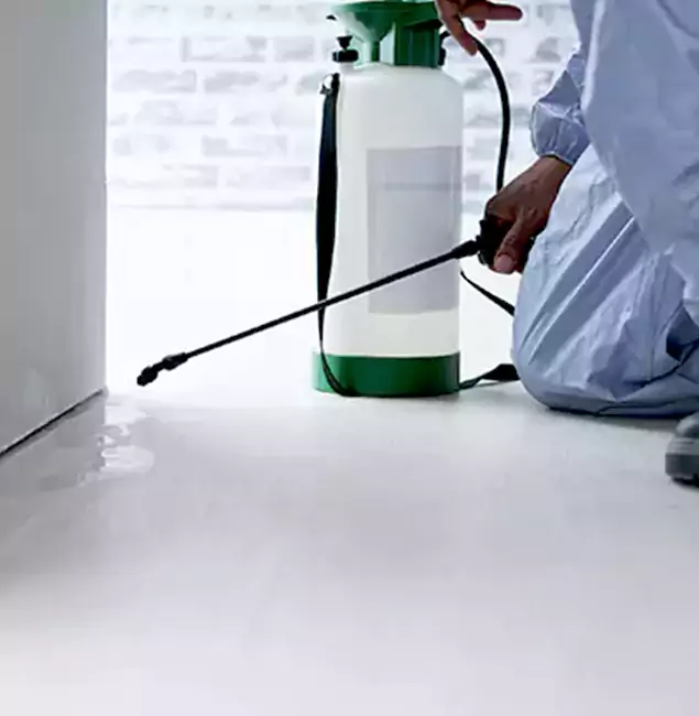 Why Choose Smyrna Pest Control Pro for Rat Exterminator in Smyrna, GA?