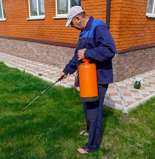 Why Choose Smyrna Pest Control Pro for Residential Pest Control in Smyrna, GA?