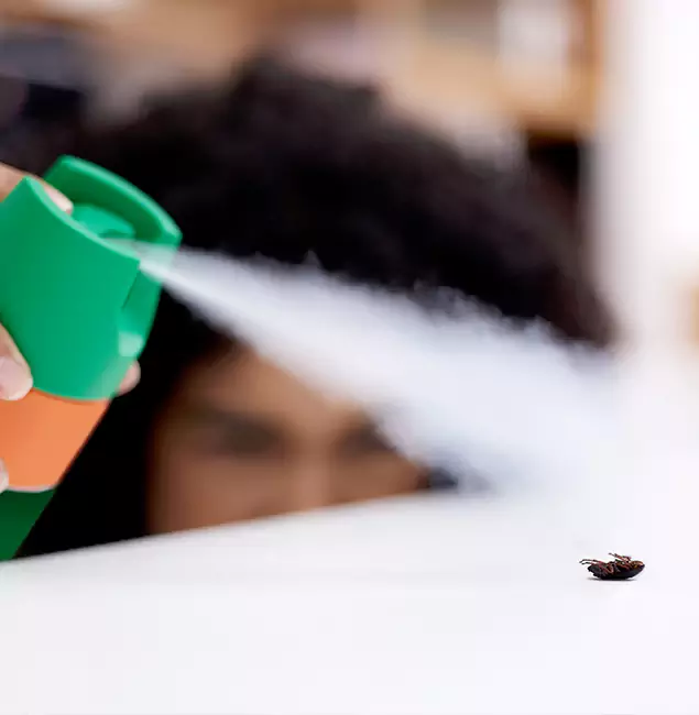 Why Smyrna, GA Homeowners Choose Smyrna Pest Control Pro for Roach Pest Control?