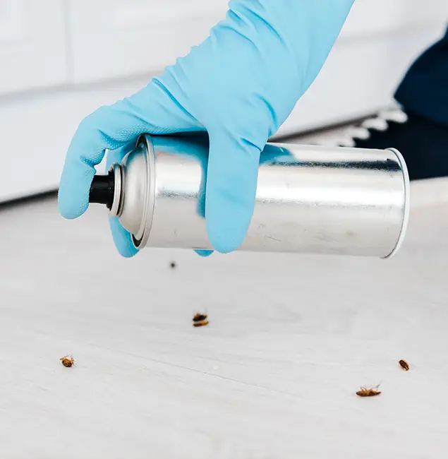Why Choose Smyrna Pest Control Pro for Safe Bed Bug Treatment in Smyrna, GA?