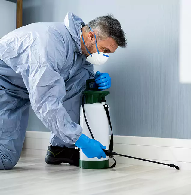 Why Choose Smyrna Pest Control Pro for Subterranean Termites Treatment in Smyrna, GA?