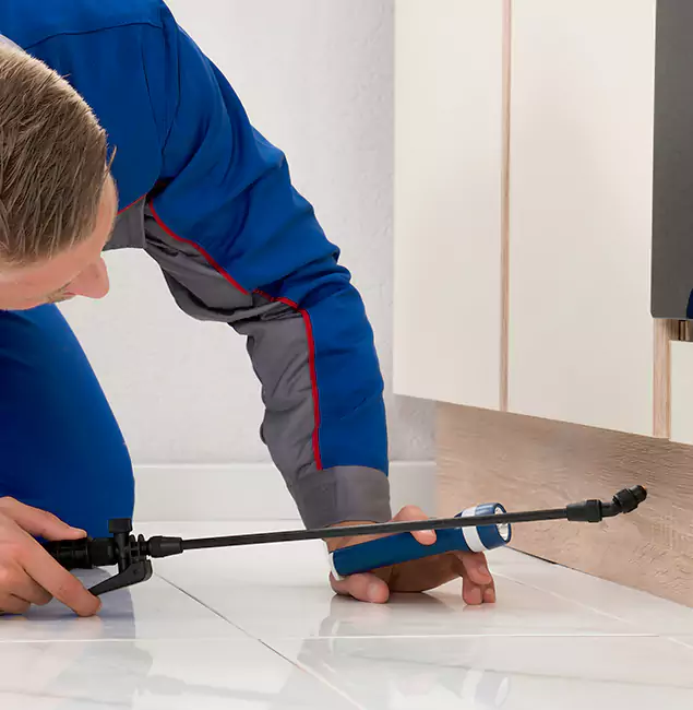 Why Smyrna Residents Choose Smyrna Pest Control Pro to Get Rid of Sugar Ants?