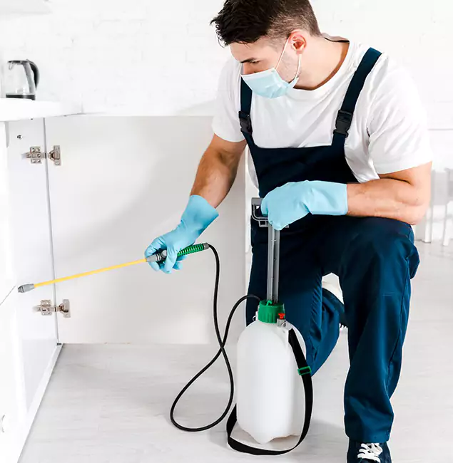 Why Choose Smyrna Pest Control Pro for Termite Spot Treatment in Smyrna, GA?