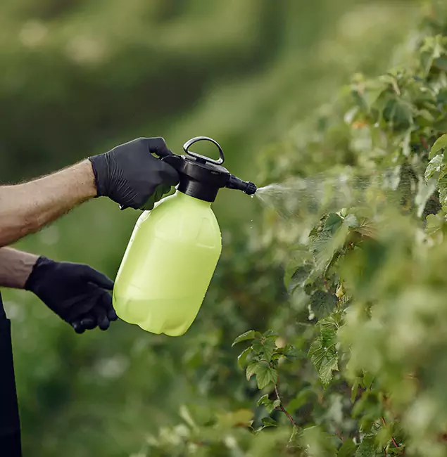 Why Smyrna Homeowners Choose Smyrna Pest Control Pro for Yard Tick Treatment?