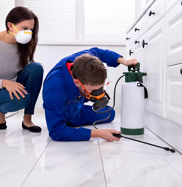 Why Choose Wood Termite Treatment by Smyrna Pest Control Pro in Smyrna, GA?